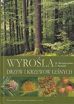 Wyrośla drzew i krzewów leśnych