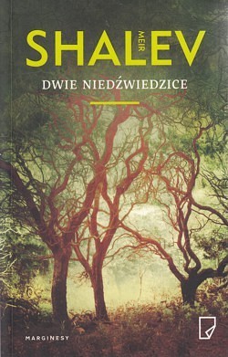 Dwie niedźwiedzice