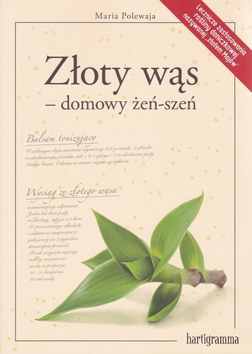 Złoty wąs