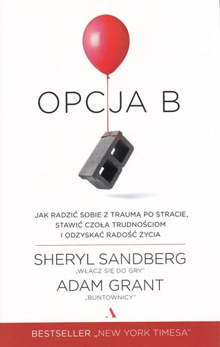 Opcja B