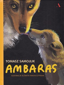 Skan okładki: Ambaras