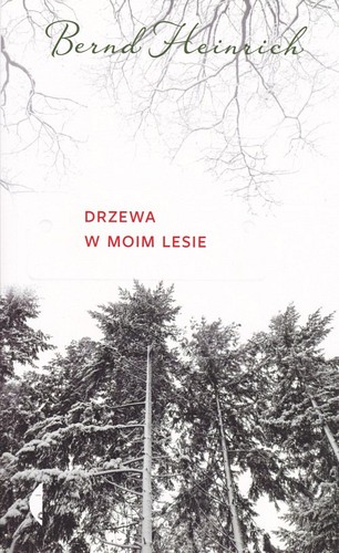 Drzewa w moim lesie