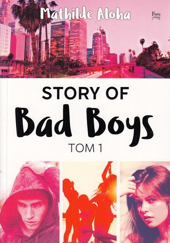 Story of bad boys