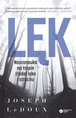 Skan okładki: Lęk