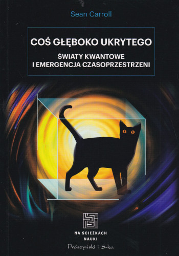 Coś głęboko ukrytego : światy kwantowe i emergencja czasoprzestrzeni