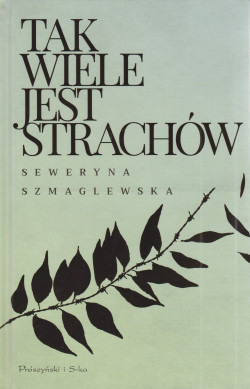 Skan okładki: Tak wiele jest strachów