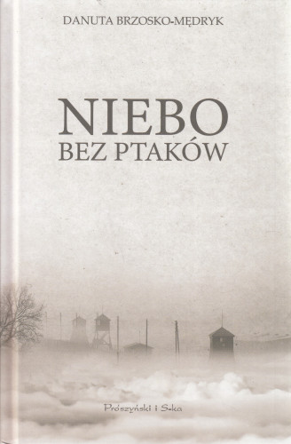 Niebo bez ptaków