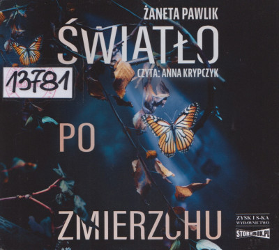 Światło po zmierzchu