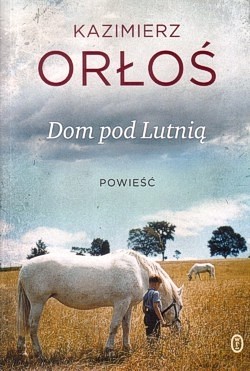 Dom pod Lutnią : powieść