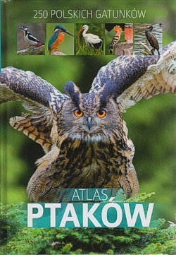 Skan okładki: Atlas ptaków : 250 polskich gatunków