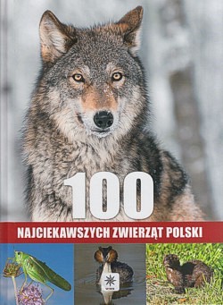 Skan okładki: 100 najciekawszych zwierząt Polski