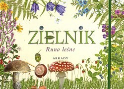 Skan okładki: Zielnik : runo leśne