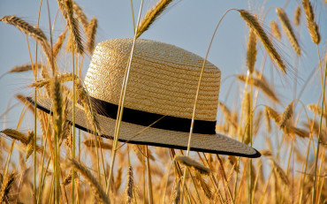 https://pixabay.com/pl/photos/czapka-s%C5%82omiany-kapelusz-lato-7278216/